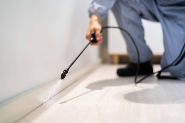 Licensed Cockroach Control service in East Uniontown, PA - Nex Pest Control